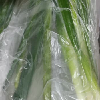 Migros Çağlayan Adliye Şubesinde Çürük Ürün Teslimi Ve Mağduriyetin Çözülmemesi