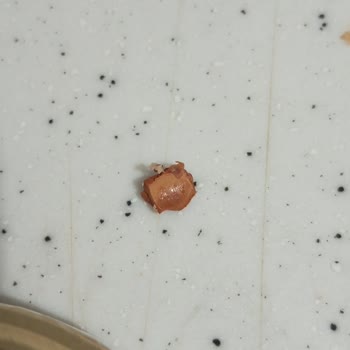 Çerez Tatlısında Yabancı Ceviz Kabuğu Parçası Sağlık Riski Yaratıyor