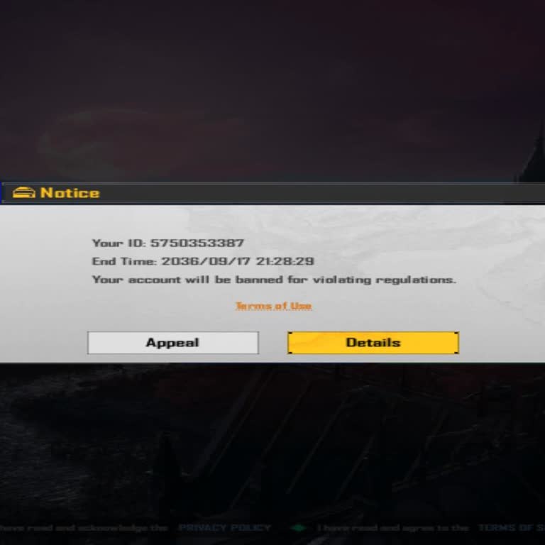 BGMI Account Banned Until 2036