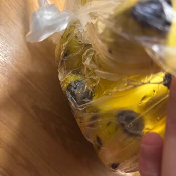 Migros Sanal Market'te Bozulmuş Peynir Ve Muz Teslimatı Ve Yetkisiz Asistandan Cevap Yokluğu