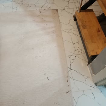 McDonald’s Şubesinde Dökülen Kola Ve Eksik Soslar Nedeniyle Siparişin Islanması Ve İade Talebi
