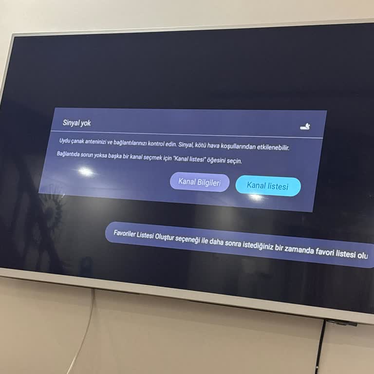Philips TV'de Show TV Sinyali Yok