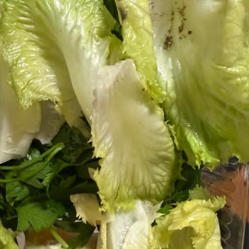 İki Saat Gecikmeli Siparişte Hijyen Ve Sıcaklık Sorunları