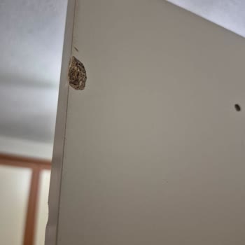 Koçtaş’ta Kırık Kahve Köşesi Parçaları Gönderilmedi Ve İade Talebim Cevapsız