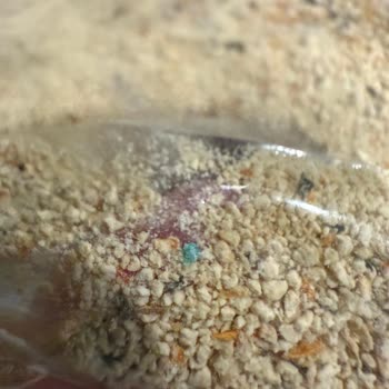 Wefood Organik Tarhanada Mavi Renkli Yabancı Madde Bulunması