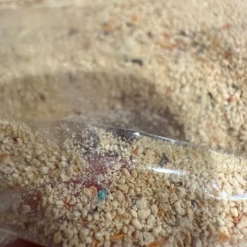 Wefood Organik Tarhanada Mavi Renkli Yabancı Madde Bulunması