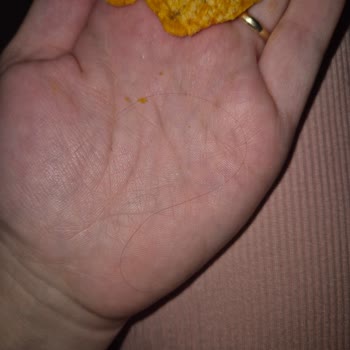 Doritos Cips Paketi İçinde Saç Teli: Gıda Güvenliği İhlali