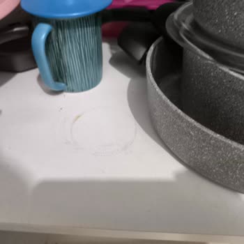 Mutfak Dolap İçleri Ve Banyo Temizliği İhmal Edildi, Ücret Karşılığı Alınamadı