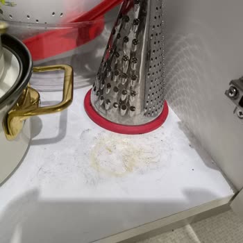 Mutfak Dolap İçleri Ve Banyo Temizliği İhmal Edildi, Ücret Karşılığı Alınamadı