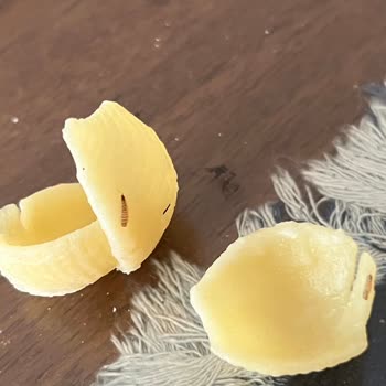 Mutlu Makarna'da Böceklenme Ve Larva Sorunu