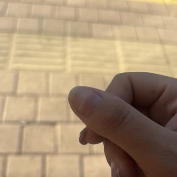 Smira Nail Studio Protez Tırnaklarım Kırıldı Sorumluluk Almadı