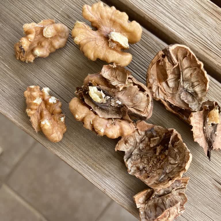 Reklamda Vaat Edilen Taze Ceviz Yerine Kuru Ve Larvalı Ürün Gönderildi