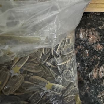 Makbul Şubesinden Satın Alınan Çekirdek Üründe Yabancı Madde Tespiti