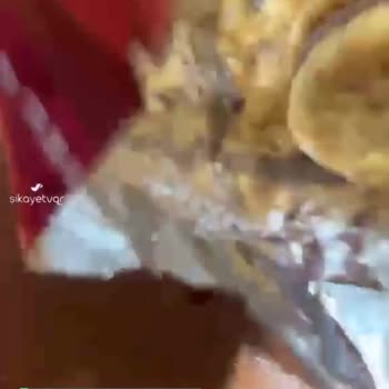 Ülker'den Kurtlu Bisküvi