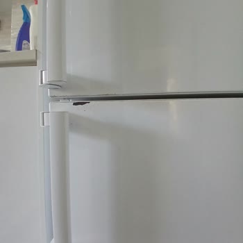 Samsung Buzdolabının Kapakları Paslanıyor, Gıdalar Çabuk Çürüyor, Servis Yardımcı Olmadı
