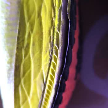 Nike ZoomX Vaporfly Next% 3 Ayakkabısının Tabanı 2 Ayda Parçalandı Ve Mağaza İnceleme Yapmıyor
