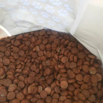 Açılmamış Köpek Mamasında Küf Sorunu Ve İade Talebi
