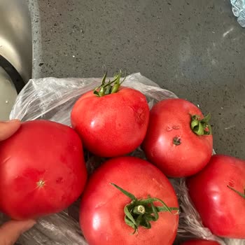Son Kullanma Tarihi Geçmiş Hazır Yemek Ve Çürük Sebzeler İçin İade Talebi