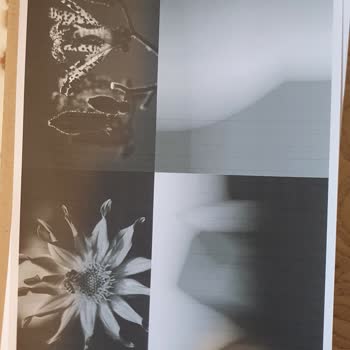 Canon Pixma Megatank G3480 Yazıcıda Banding Problemi Ve İade Talebi