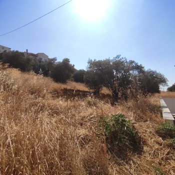 Burhaniye Belediyesi Yol Yapmadığı İçin Arsaya Ulaşım Engellendi