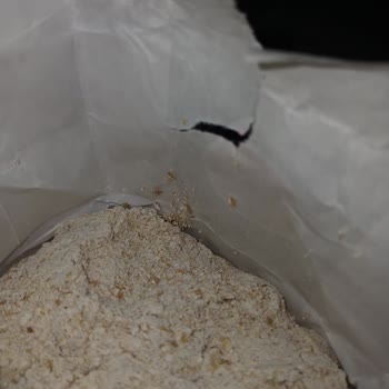 Söke Markalı Çavdar Ununda Güve Bulunması Sağlık Endişesi Yarattı