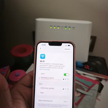 Elektrik Kesintisi Sonrası İnternet Bağlantısı Alınamıyor: Kalıcı Çözüm Talebi