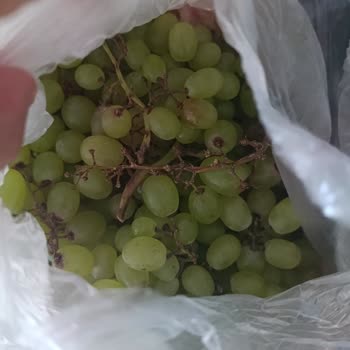 Ezik Ve Böcekli Ürünler, Eksik Baget Ekmek; Müşteri Hizmetlerinden Cevap Yok