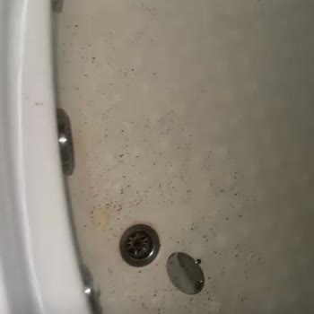 Şirince'm Saklı Vadi Pansiyon & Restoran Hijyen Açısından Ciddi Anlamda Rahatsız Oldum