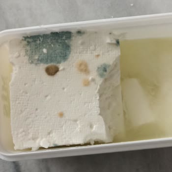 Plastik Tadlı Ve Küflenen Peynir İçin İade Reddi Ve Geri Ödeme Sorunu