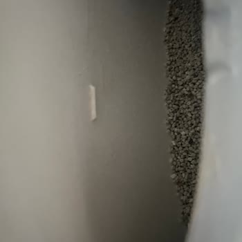 Kedi Tuvaletindeki Silikon Ped Arızası Ve İlgisiz Destek