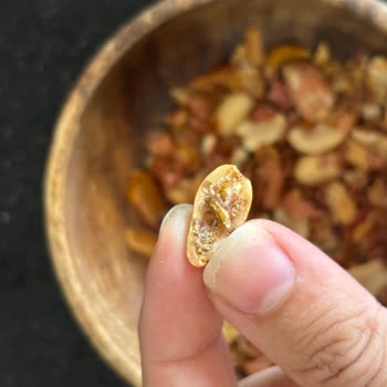 Tuzlu Kavrulmuş Yer Fıstığında Ölü Böcek Bulunması