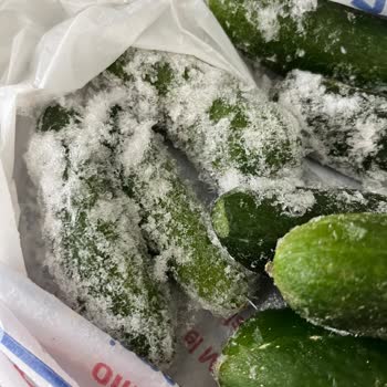 Profilo Buzdolabında Aşırı Soğutma Ve Tekrarlayan Arızalar Ürün Değişimi Talebi