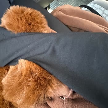 Üst Kazak Kumaş Ve Renk Tonu Farkı