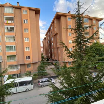 Elektrik Direği Ve Ağaç Dalları Arasındaki Tehlikeli Temas Acilen Çözülmeli