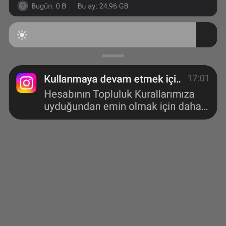 Instagram Yapay Zeka Sisteminin Haksız Hesap Kapatma Kararı
