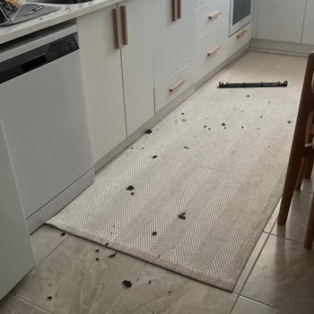 Arçelik Beyaz Eşyalarda Sürekli Arıza Ve Patlayan Fırın Camı Güvenlik Sorunu
