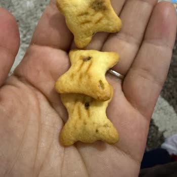 Ozmo Hoppo Bisküvi Sert Ve Dolgusuz Çocuklarda Hayal Kırıklığı