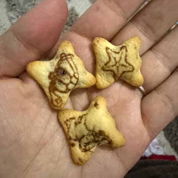 Ozmo Hoppo Bisküvi Sert Ve Dolgusuz Çocuklarda Hayal Kırıklığı