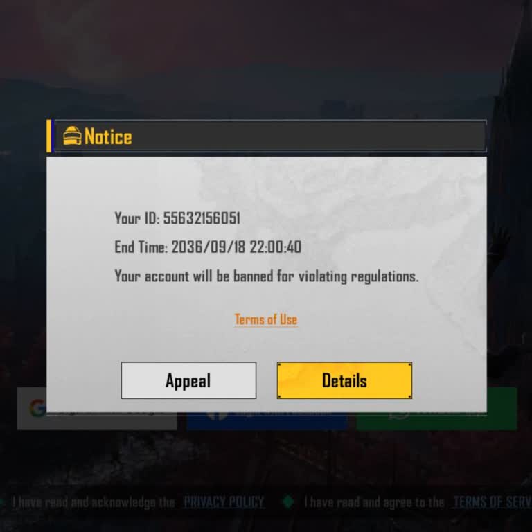 BGMI Long-Term Ban Appeal for Account ID 55632156051