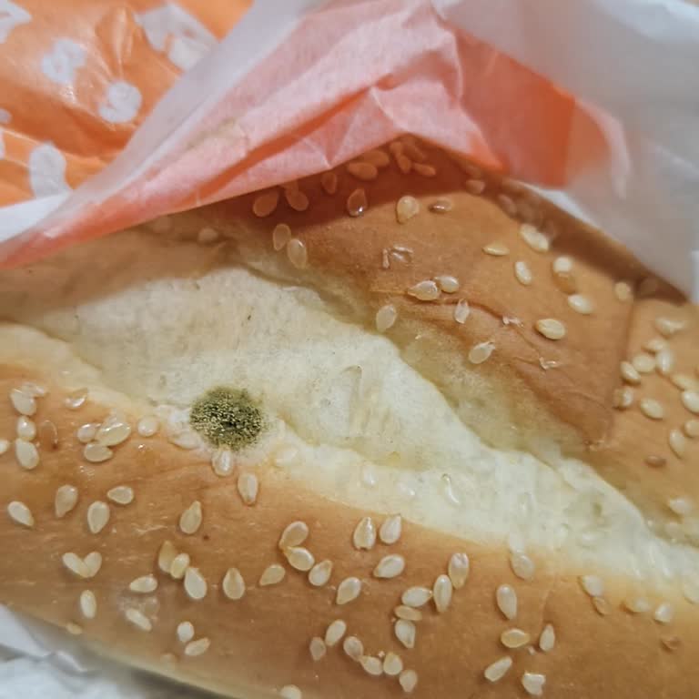 Küflü Ekmek Ve Geri Ödeme Talebi