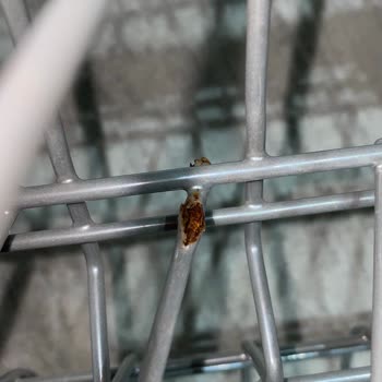 Sepet Kaplamasının Soyulması Ve Paslanması Nedeniyle Ücretsiz Değişim İsteği