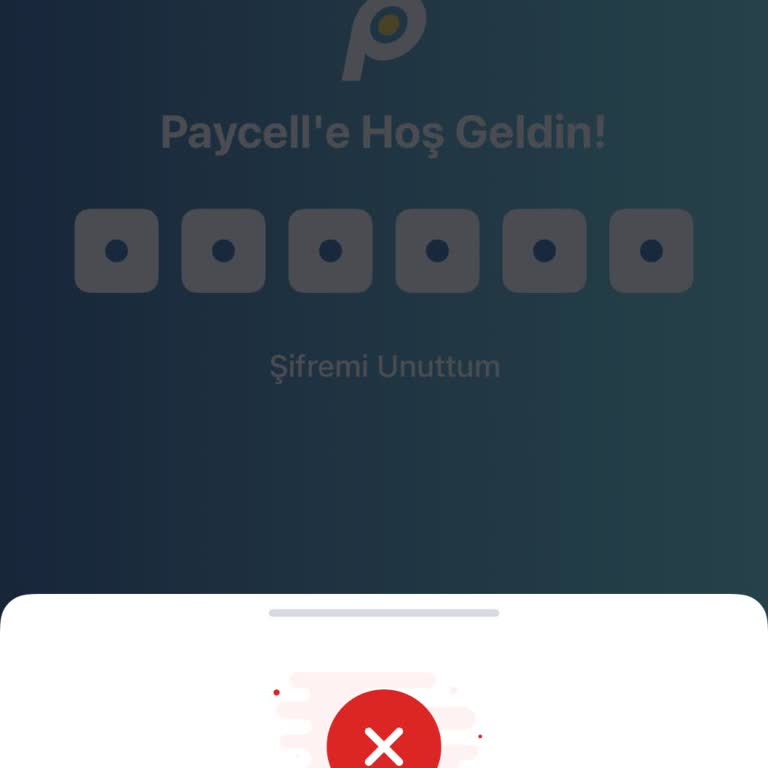 Paycell Hesabım Kilitli Ve 120.000 TL Bakiyem İade Edilmedi