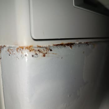 Bosch Çamaşır Makinesinde Deterjan Haznesi Altındaki Paslanma Ve Çürüme Şikayeti