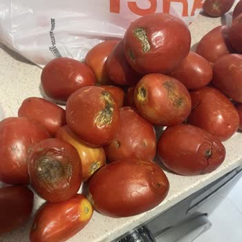 Migros Sanal Market'te Bozuk Domatesler Ve Kalite Kontrolü Eksikliği