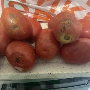 Migros Sanal Market'te Bozuk Domatesler Ve Kalite Kontrolü Eksikliği