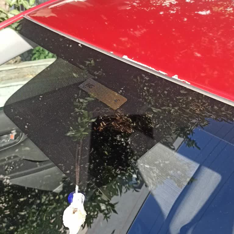 Hyundai Kona Boya Atması Sorunu Ve Garanti Reddi