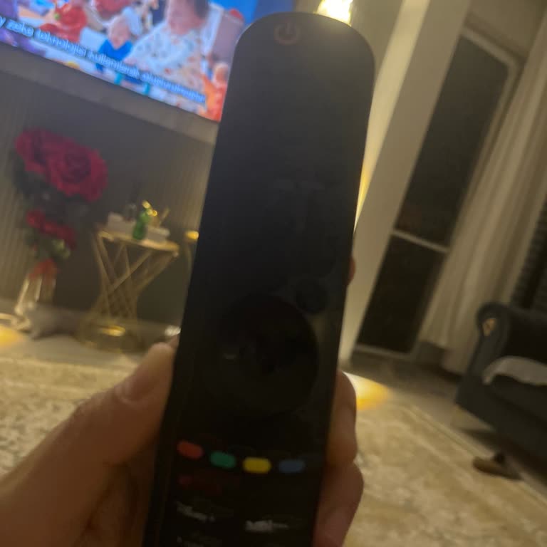 Garanti Kapsamındaki LG TV Kumandası Sesli Komut Arızası İçin Destek Alınamıyor