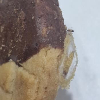 Ülker Kurabiyede Yabancı Madde Ve 11 Günlük Yanıt Eksikliği