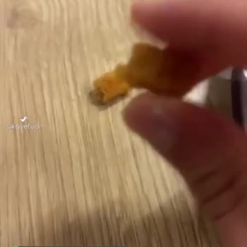 Burger King Soğan Halkaları Taş Gibiydi Yiyemedik, Burger Ve Patates De Buz Gibiydi