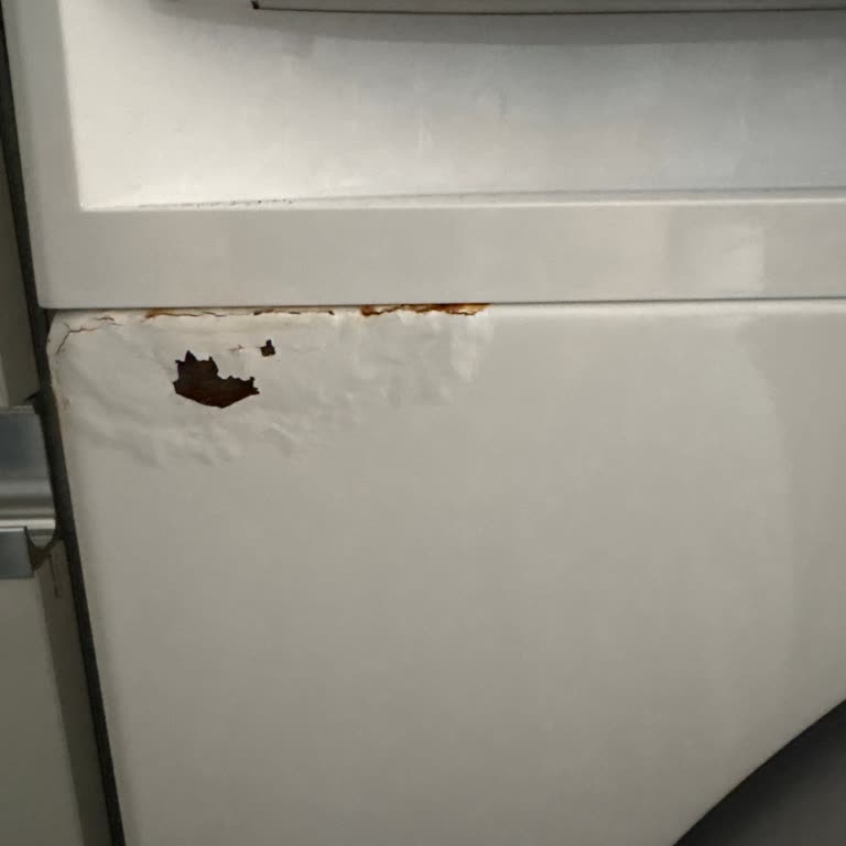 Arçelik Çamaşır Makinesinde 5 Yıllık Paslanma Ve Boya Kalkması Sorunu